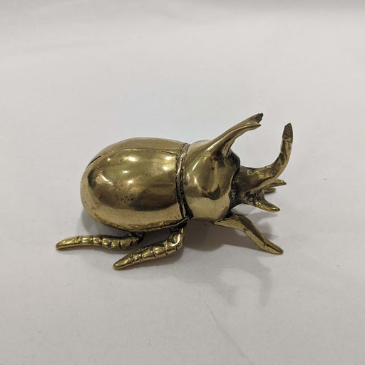 Brass Rhino Beetle - Gold Uncommon Collective Store