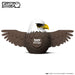 DoDoLand Bald Eagle 3D Puzzle Collectible Model Uncommon Collective Store