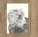 Marini Ferlazzo Small Gift Card - Bald Eagle Uncommon Collective Store