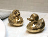 Brass Rubber Duckie - Gold Large Decor ColCam   