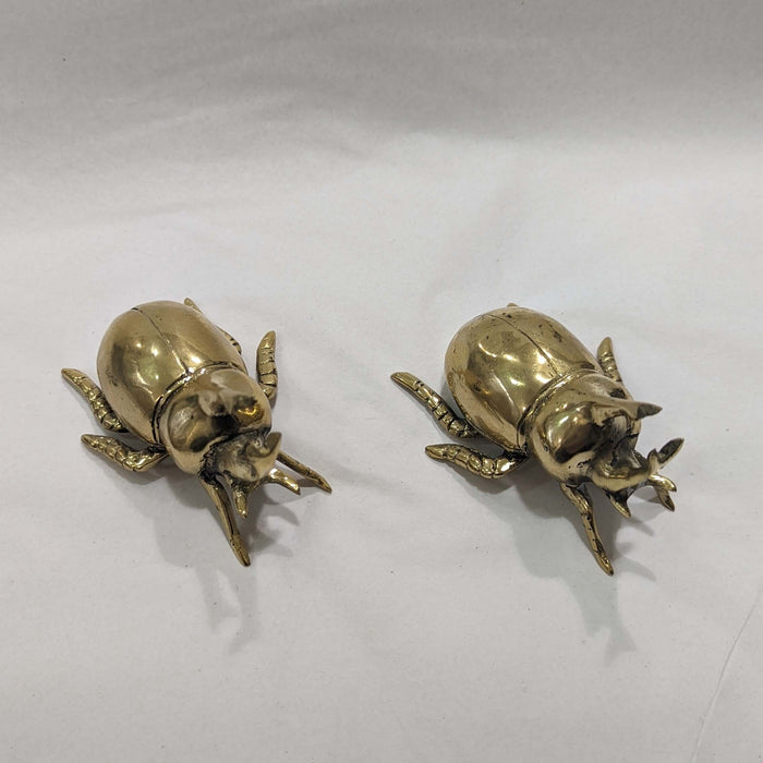Brass Rhino Beetle - Gold Decor ColCam   