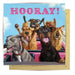 La La Land Greeting Card - Rollercoaster Dogs Uncommon Collective Store